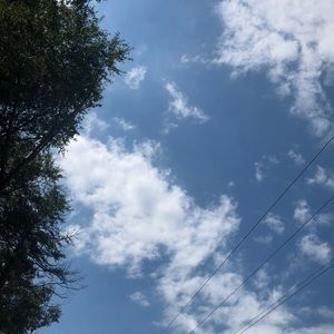 Meet your Posher, Jannet